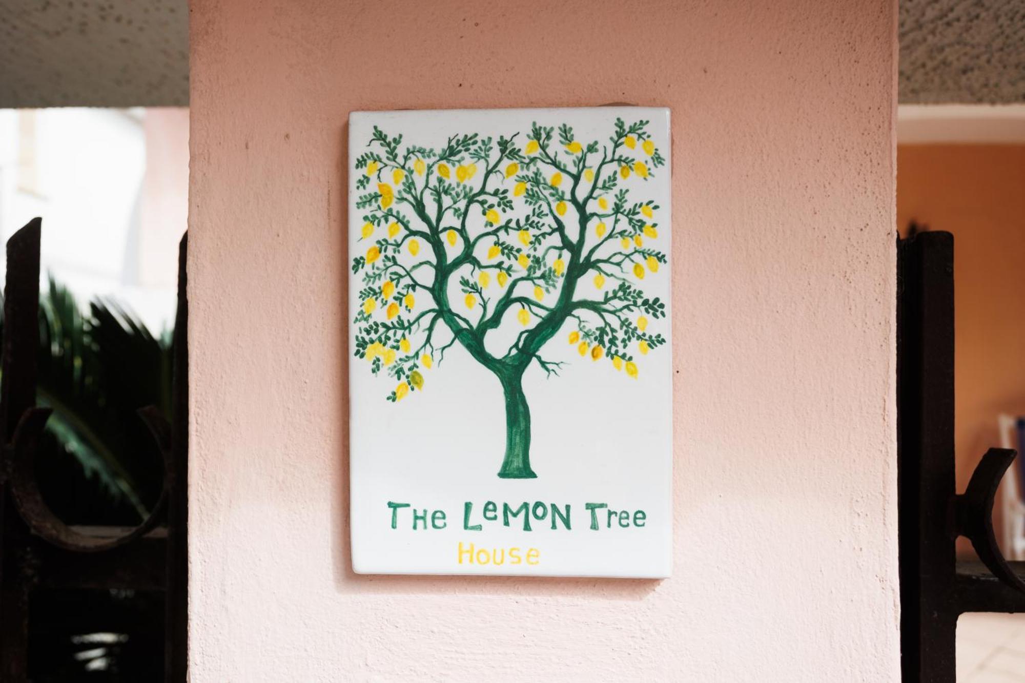 Апартаменты The Lemon Tree House Скалея Экстерьер фото
